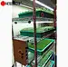 microgreens growing wire shelving